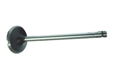 Válvula Escape para Ford Cargo 1722 2422 2425