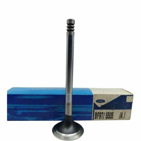 Válvula Escape para Ford F250 VW 8150 9150