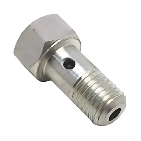 Válvula Retorno Bomba MWM VW 790 7110 13180