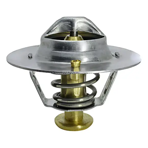Válvula Termostática para Ford Cargo VW ISB