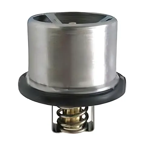 Válvula Termostato para Volvo B10 B12 F12
