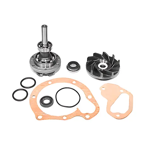 Reparo Bomba Água - MBB LK1218 LK1418