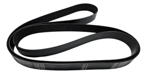 Correia Poly V 10PK2475