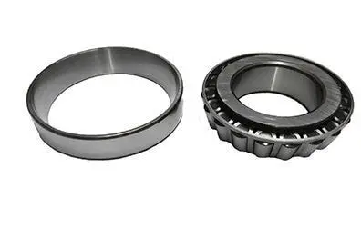 Rolamento Rolo Cilíndrico ZF 6S 1010 Bo