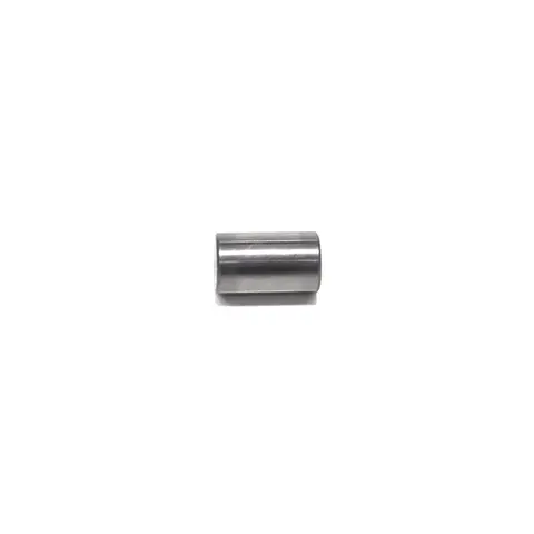 Rolete 10x16,90MM Engrenagem Satélite